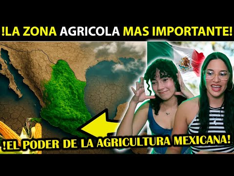 CUBANAS REACCIONAN a La nueva ZONA AGRICOLA más PODEROSA de MÉXICO
