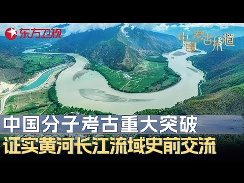 中国分子考古最新突破！证实黄河与长江流域有史前交流，中华文明源头真相浮出水面 #中国考古报道 FULL