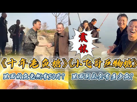 大表哥花9300元包下10年没有干的老鱼塘，里面竟然都是30斤的大鱼？｜花110000元包下小飞哥3年的巨物塘，里面到底会有多少鱼？｜#户外抓鱼 #户外捕鱼 #大表哥抓鱼 #乡村生活 #农村生活