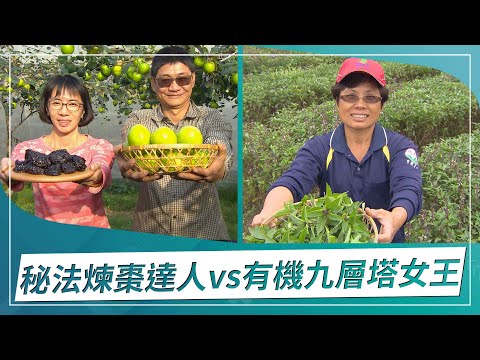 草地狀元-祕法煉棗達人VS有雞九層塔女王(2022.12.05播出)