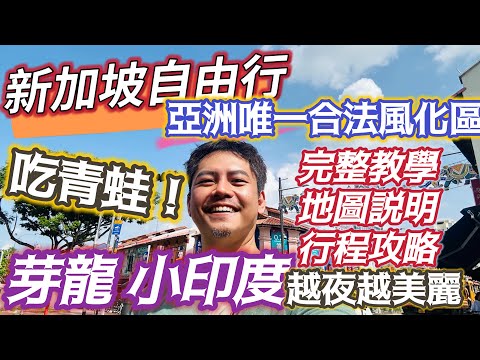 新加坡自由行 深入完整介紹亞洲最大合法風化區 交通 住宿 美食 #芽籠 #小印度 什麼都有 什麼都不奇怪 如何消費 肉骨茶 青蛙一條街 一次網羅 讓你新手變老手