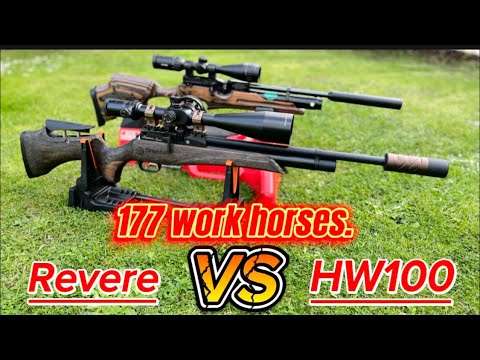 Daystate Huntsman Revere vs Weihrauch HW100 back garden shoot off. #airgunning #airgunfun #hunting