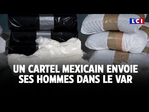 Drogue : un cartel mexicain dans le Var !｜LCI