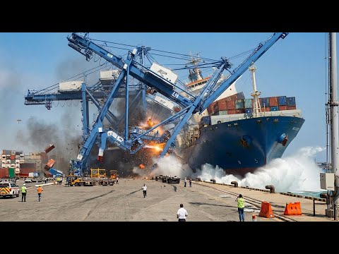 The Rarest Moments Ever Caught on Camera