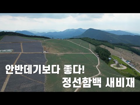 정선은 아름답지 않은 곳이 없다! 함백과 새비재