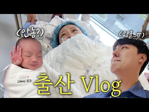 Everyone, our lovely Bonjou has been born! 💕 [Birth Vlog]