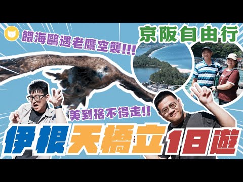 日本必去三景？京都隱藏版景點！朝聖伊根舟屋、天橋立　餵海鷗竟被老鷹「空襲」？！搭上夢幻纜車美景盡收眼底～玩到不想回家啦【凱文喵式會社】 #帶爸媽出國玩