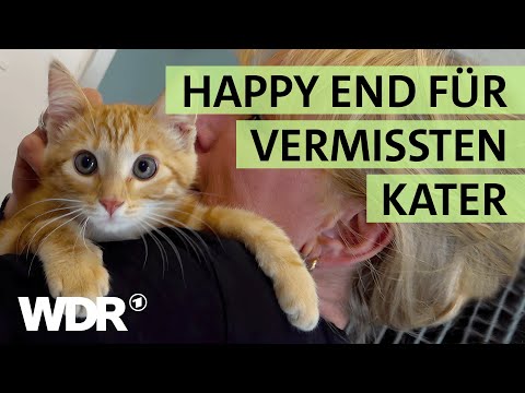 Volles Katzen-Haus und eine verliebte Tierheimleiterin! | S02/E01 | Hallo Tierheim | WDR