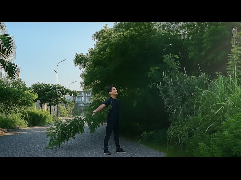 Shocking! Forgotten Sidewalk Turns Into a Jungle in the City – Stunning Makeover. #cleaning #mowing