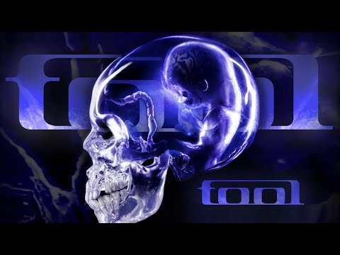 The Disturbing Evolution of TOOL