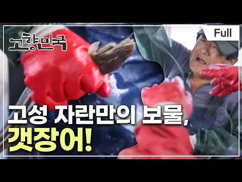[Full] 고향민국 - 고성, 내 고향 남쪽 바다
