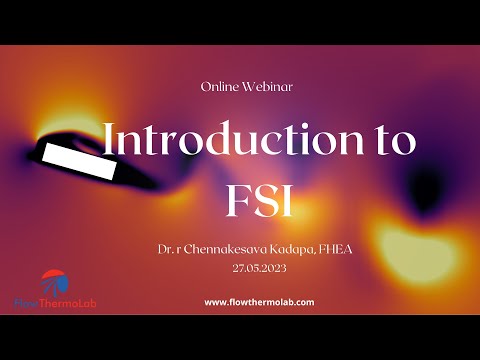 FSI workshop | fluid structure interaction |