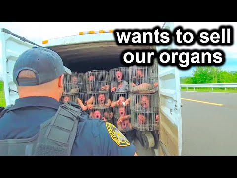 Jaw-Dropping Police Dashcam Moments That Broke the Internet