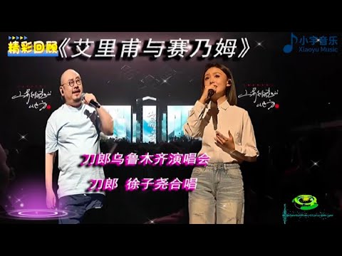 刀郎老师最喜欢的一首歌《艾里甫与赛乃姆》，在乌鲁木齐站，跟我们的尧尧合唱#音樂 #徐子堯 #刀郎演唱会 