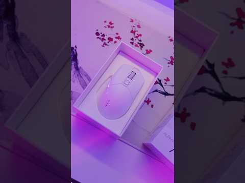 What Getting A New Mouse Feels Like!