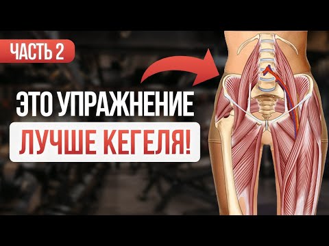 ЛУЧШЕЕ упражнение для укрепления МЫШЦ ТАЗОВОГО ДНА! Часть 2.