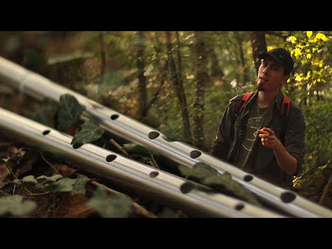 Лоу вистлы А.Караваева - обзор | Low Whistles by A.Karavaev (ENG SUB)