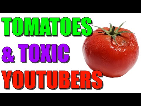 Exposing the Grift: The Toxicity of YouTubers