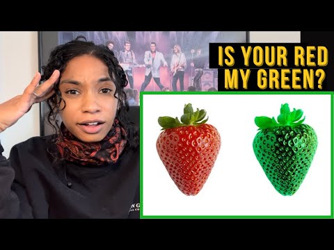 First time watching Vsauce: Is your red the same as my red?