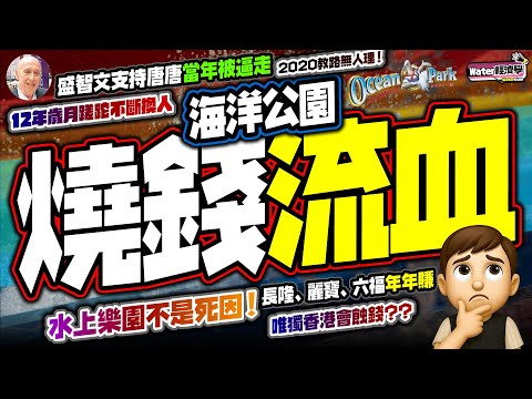 【海洋公園愈救愈蝕】水上樂園40億大黑洞!當年盛智文支持唐唐被革走,2020教路冇人理!12年不停換人冇起色|22.9億貸款難頂,水上樂園冬季關7個月都繼續滴流血|為何長隆、麗寶、六福水上樂園能穩賺?