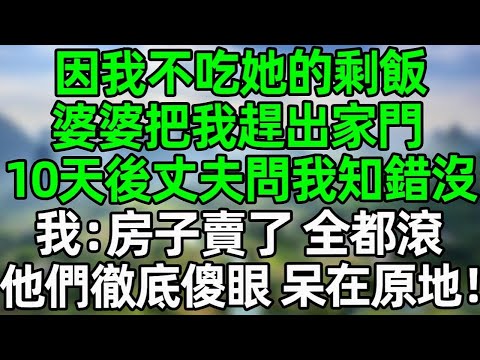 因爲我不吃她的剩飯，婆婆把我趕出家門，10天後丈夫問我知錯沒，我：房子已經賣了，你們全給我滾！他們徹底傻眼，愣在原地#夜讀人生 #大橘讲故事 #講故事  #幸福生活 #深夜淺讀 #深夜故事 #情