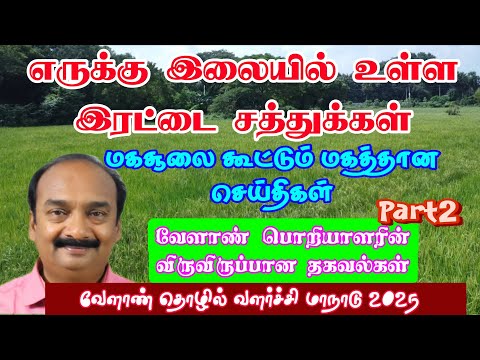 எருக்கு இலையில் உள்ள இரட்டை சத்துக்கள் அடுக்கடுக்கான தகவல்கள் 