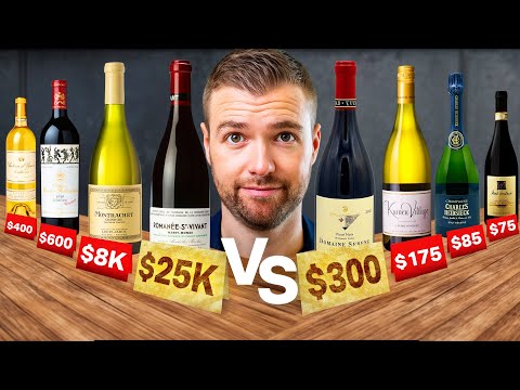 These 10 CHEAP Wines Taste the Same as the MOST EXPENSIVE Wines on Earth
