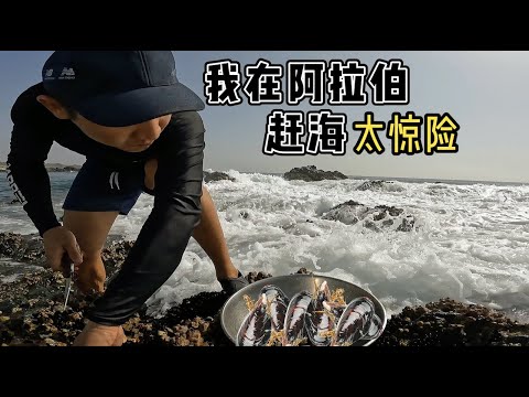 《环球探海记》阿曼 第50天：大浪中寻找美食，赶海没你想的那么简单 ！  #赶海 #美食 #旅行