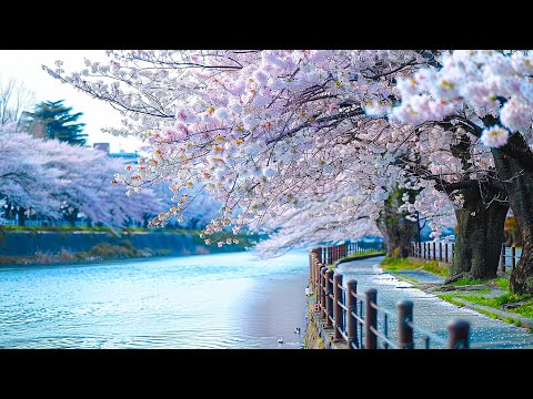 лечебная музыка для сердца и сосудов 🌸 успокаивает нервную систему и радует душу, Нежная музыка #46