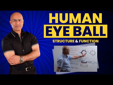 Eye Anatomy | Human Eye Ball | Structure and Function