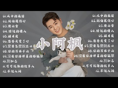 小阿枫🎗️🎗️【動態歌詞Lyrics】海來阿木10首最火的歌: 别怕我伤心 \ 风中的承诺 \ 错过的情人 \ 漫山雪\ 明月夜