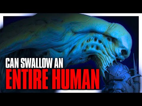 The BODY SWALLOWING Bipedal Ocean Dwelling Species In Underwater Explained