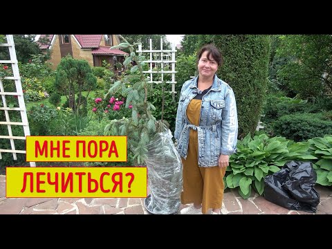 САД НАИЗНАНКУ. Когда все показывают красивые картинки - я показываю все, как есть!