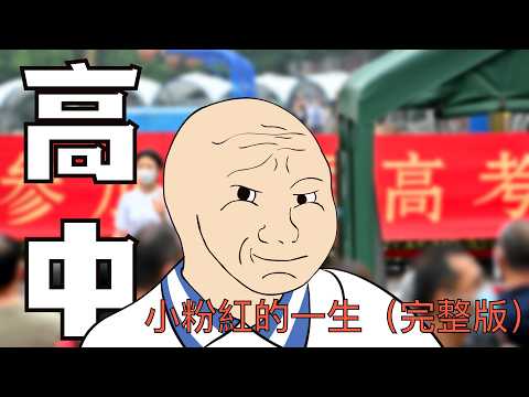 高中｜小粉红的一生｜wojak｜Mr .卡皮扒拉
