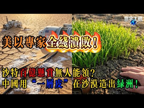 💣 【深度复盘】连美国和以色列都判了“死刑”？揭秘中国团队如何破解沙特“沙漠种粮”的不可能三角！这才是真正的科技输出！