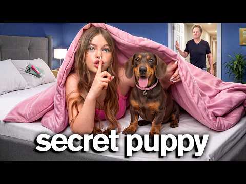 I Secretly Hid A Puppy In My Room