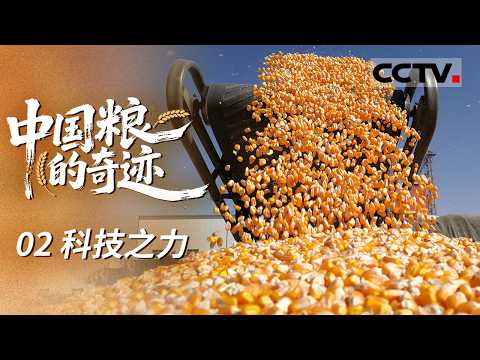 《中国粮的奇迹》02 科技之力:科技助力中国粮!人工智能、大数据运算、农业智能化 一个个颠覆性技术正在为农业的生产方式带来改变【CCTV纪录】