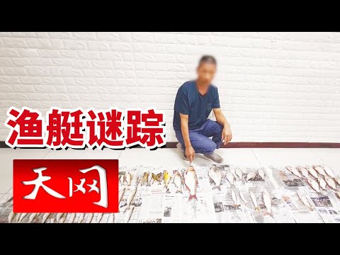 《天网》鱼尸浮现江面 天价“水产”背后是谁在“杀鸡取卵”？20251210