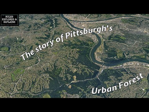 Why This Pittsburgh Neighborhood is Mostly Forest