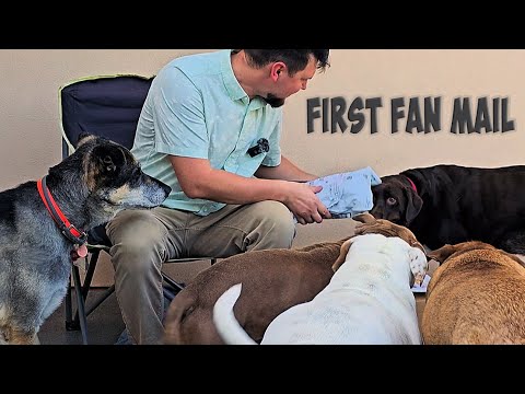 PO BOX OPENING! - Foster pups very first fan mail!