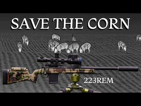 Save The Corn | Feral Hog Shooting | 223 REM