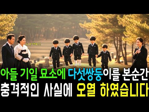 아들의 기일날 묘지를 찼은 재벌회장, 세 쌍둥이가 아닌..다섯 둥이를 본 순간 재벌회장 충격의 사실에 오열했습니다...ㅣ노후사연ㅣ사연라디오ㅣ감동사연ㅣ오디오북