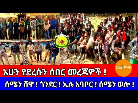 አሁን የደረሱን ሰበር መረጃዎች|| ሰሜን ሸዋ ! ጎንደር ! ኢሉ አባቦር ! ሰሜን ወሎ !