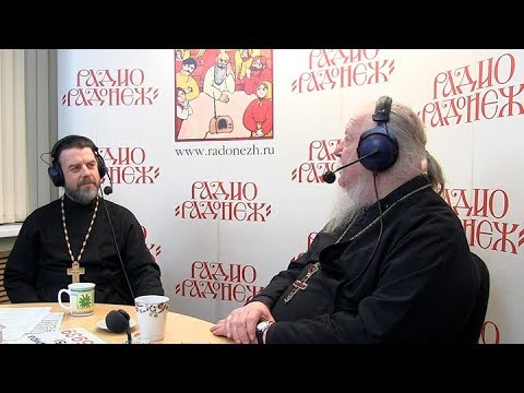 Радио «Радонеж». Протоиерей Димитрий Смирнов. Видеозапись прямого эфира от 2018.01.13