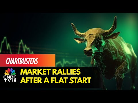 Sensex Gains 170 Points, Nifty Above 25,100; Metals, Pharma Stocks Rally | CNBC TV18