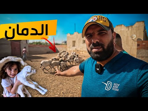 هل مشروع الدمان مربح؟ 💰 | تجربتي ونصائح مهمة للمبتدئين!