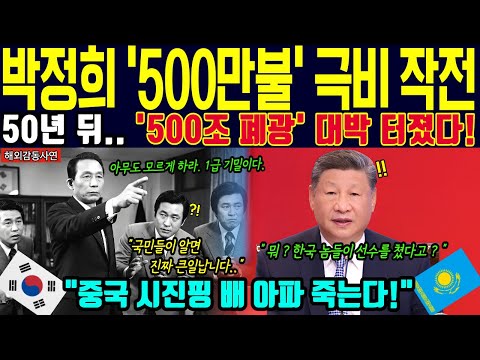 [해외감동사연] "나라가 망해가는데 500만 불을 빼돌려?!" 온 국민이 욕했던 박정희의 '비밀 작전', 50년 뒤 '500조 보물'로 돌아오자 중국 경악