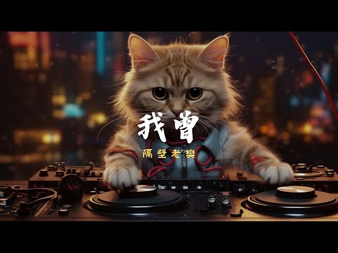 隔壁老樊 - 我曾, 毛不易 - 不染, 任然 - 後繼者『我曾把完整的鏡子打碎，夜晚的枕頭都是眼淚。』【動態歌詞Lyrics】