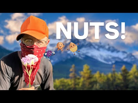 I thru-hiked the APPALACHIAN TRAIL and only ate NUTS - meal plan!!!!
