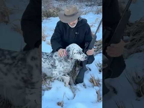 6.5x284 Norma in Straight Pull Blaser R93